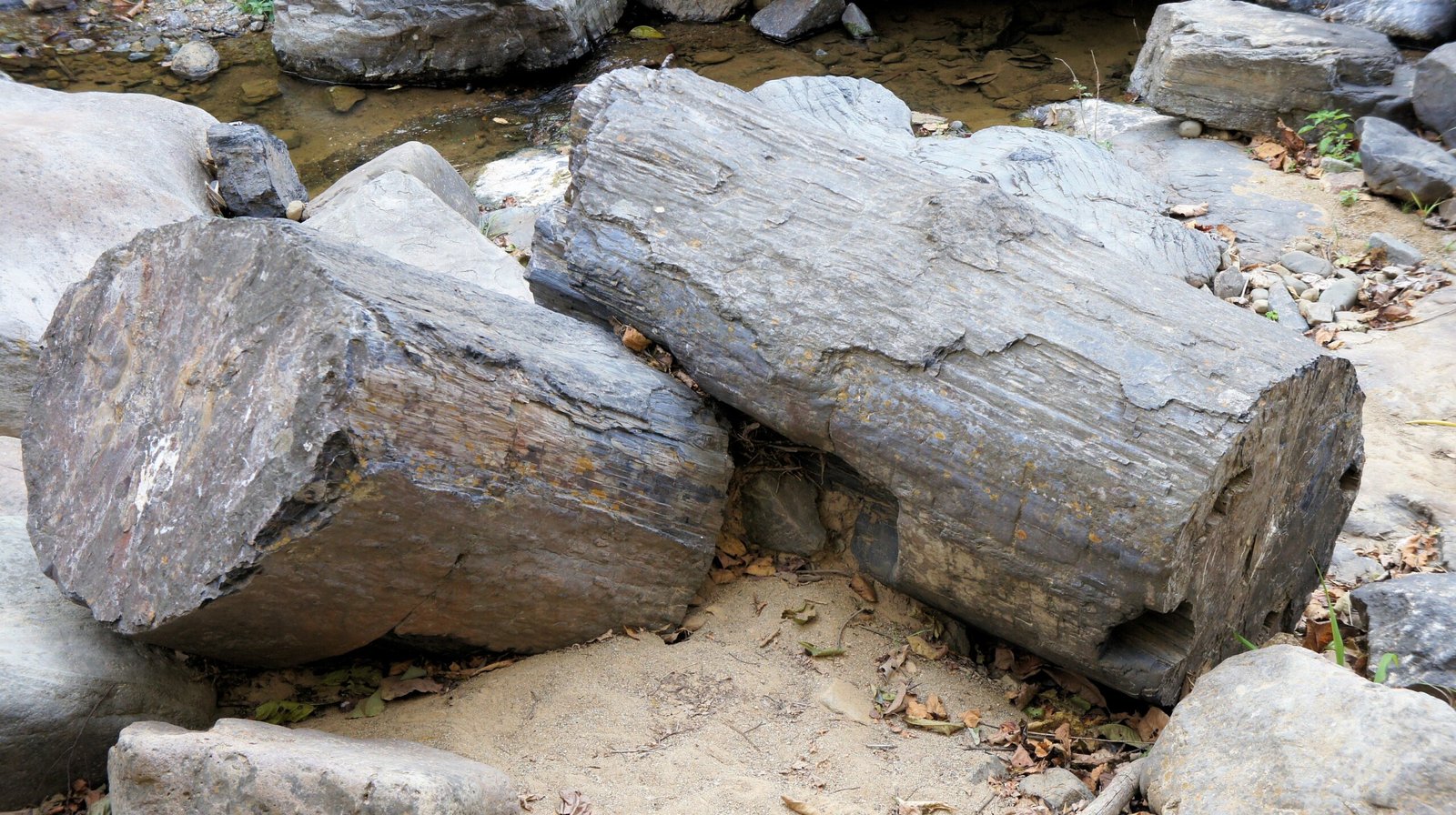Provincia del Oro, El Oro Ecuador, turismo en el Oro