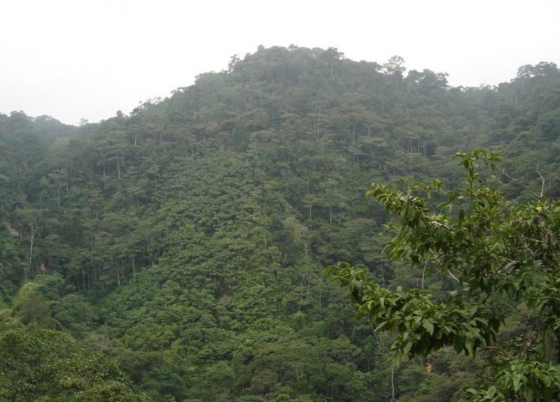 Cerro Buena Vista