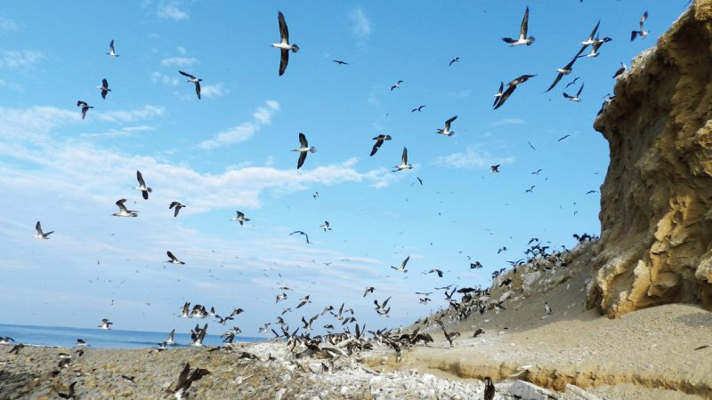 Isla Santa Clara de Machala, Reserva Natural Del Oro, Turismo Isla Santa Clara