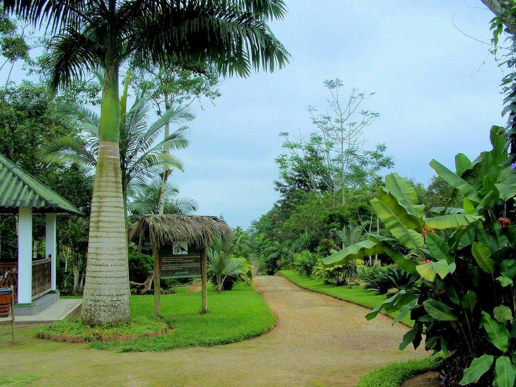 Área de Reserva Jardín Botánico