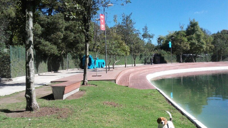 Parque la Carolina Quito