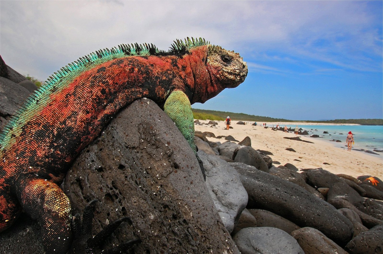 Disfruta del ecoturismo en ecuador 2024